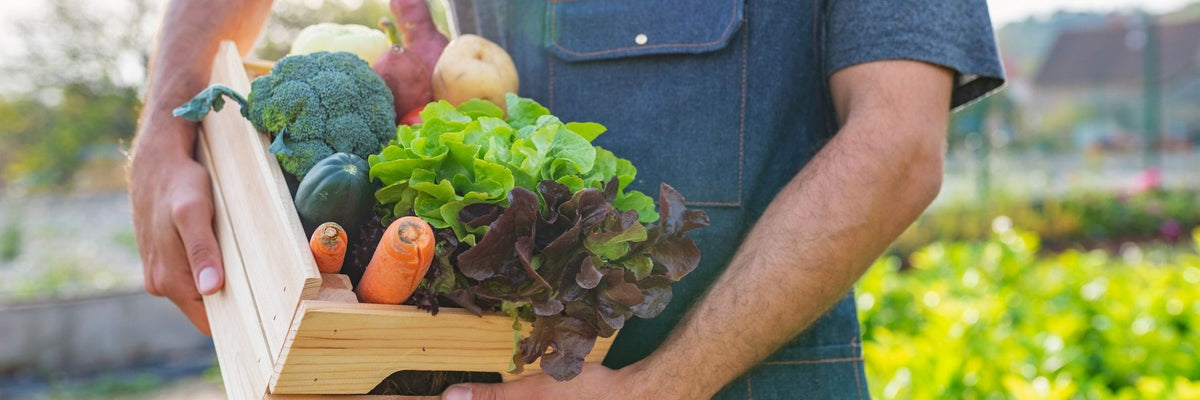Why You Should Choose Organic Food