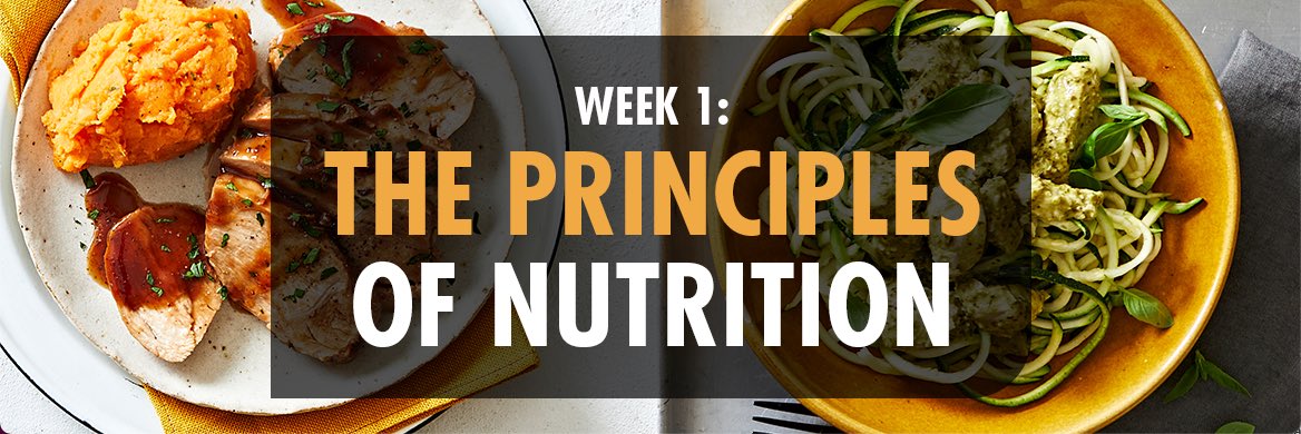 WEEK 1: THE PRINCIPLES OF NUTRITION